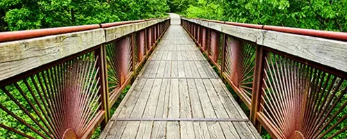 Bernheim-Forrest-web
